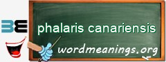WordMeaning blackboard for phalaris canariensis